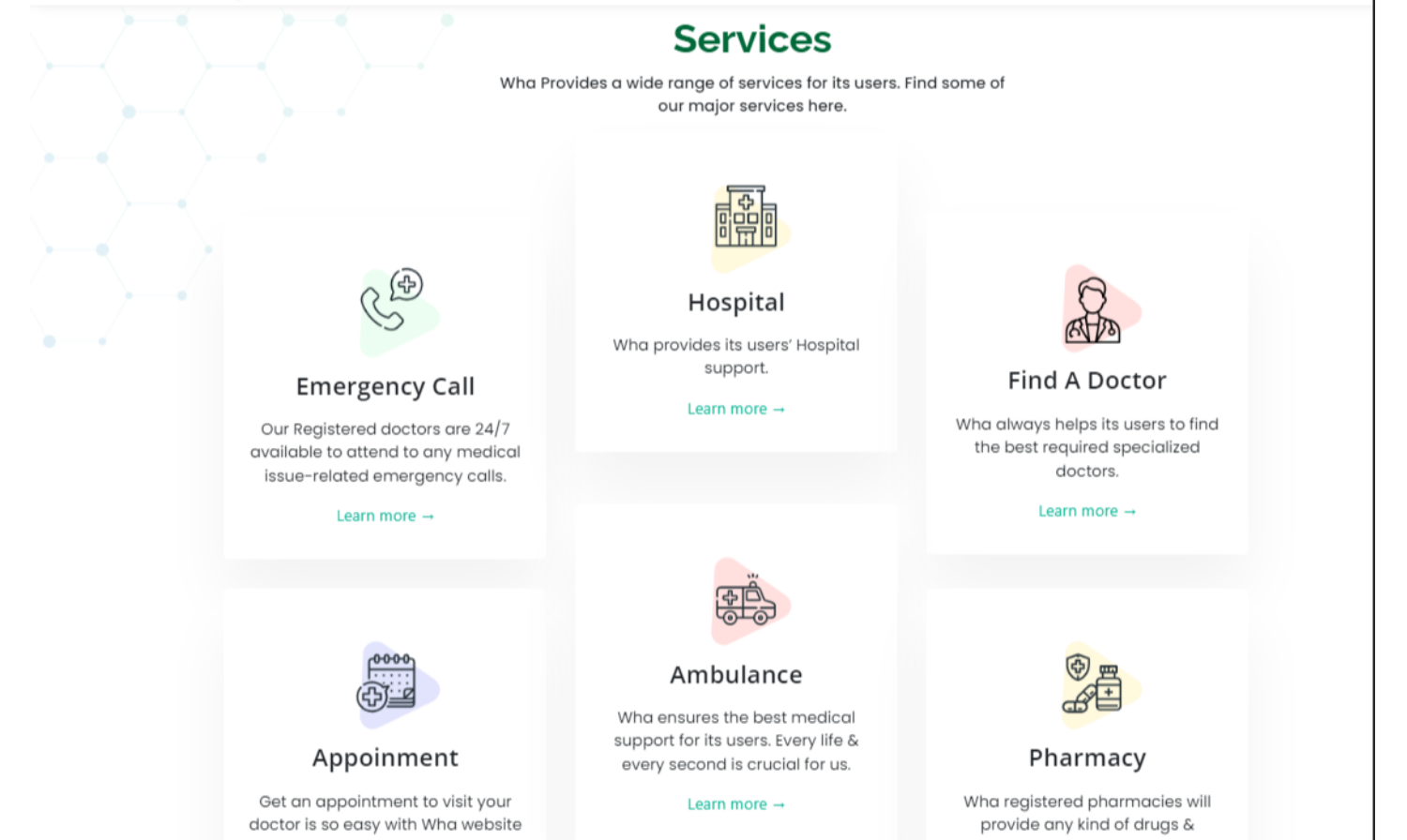 website1