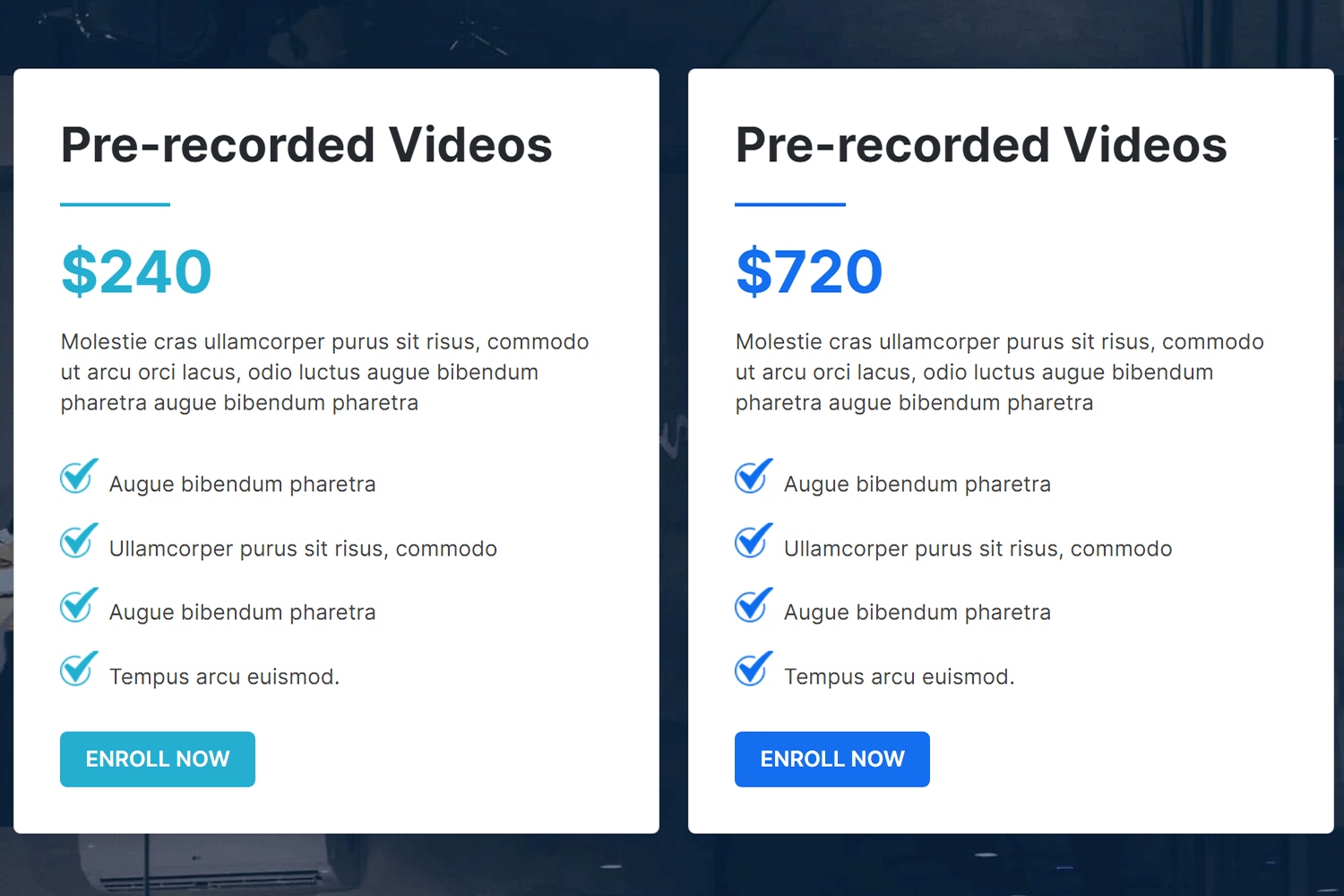 website1