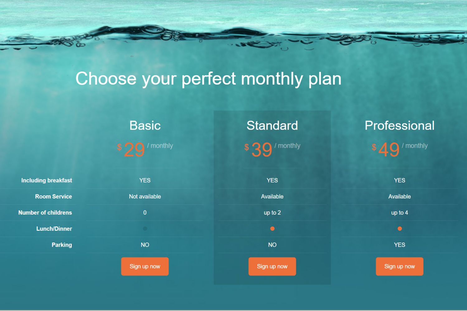 website1