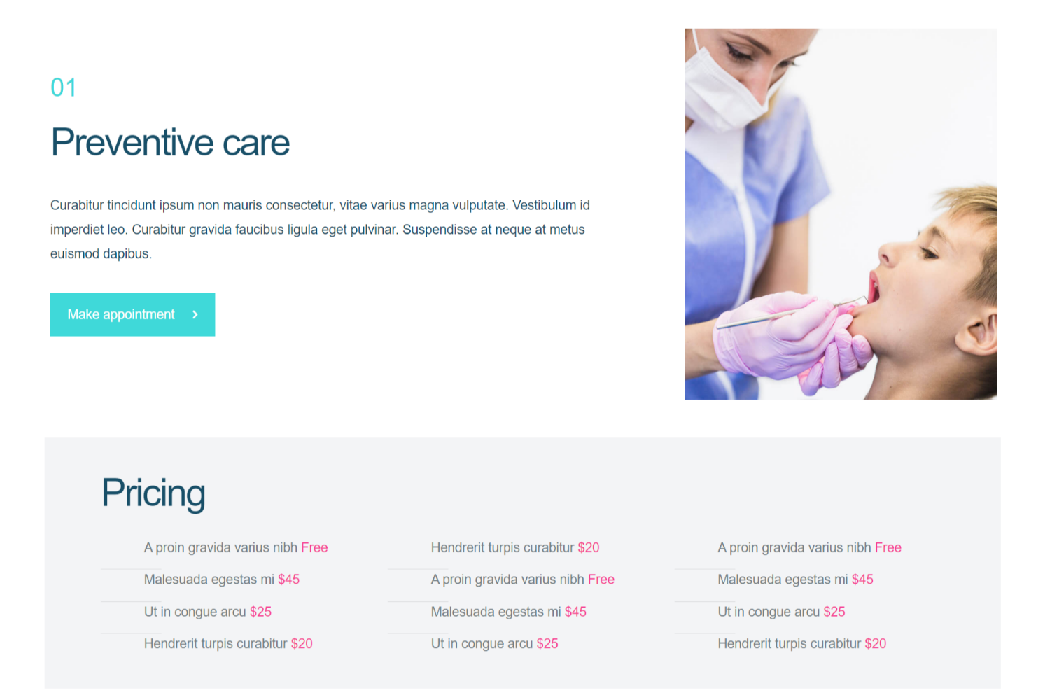 website1
