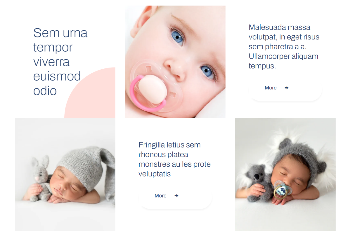 website1