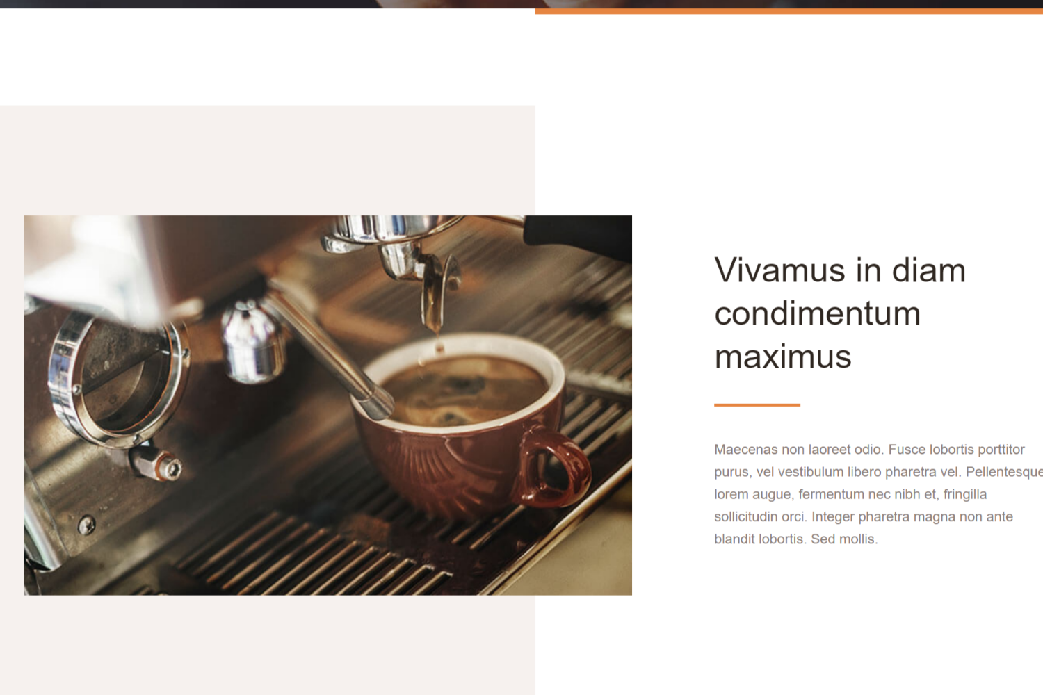 website1