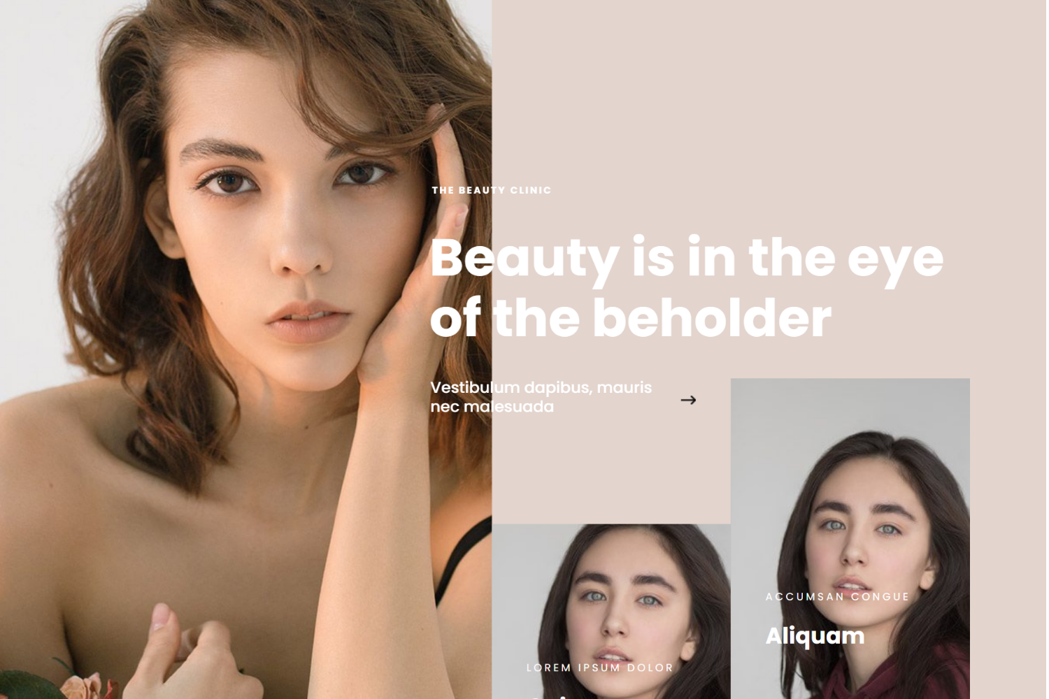 website1