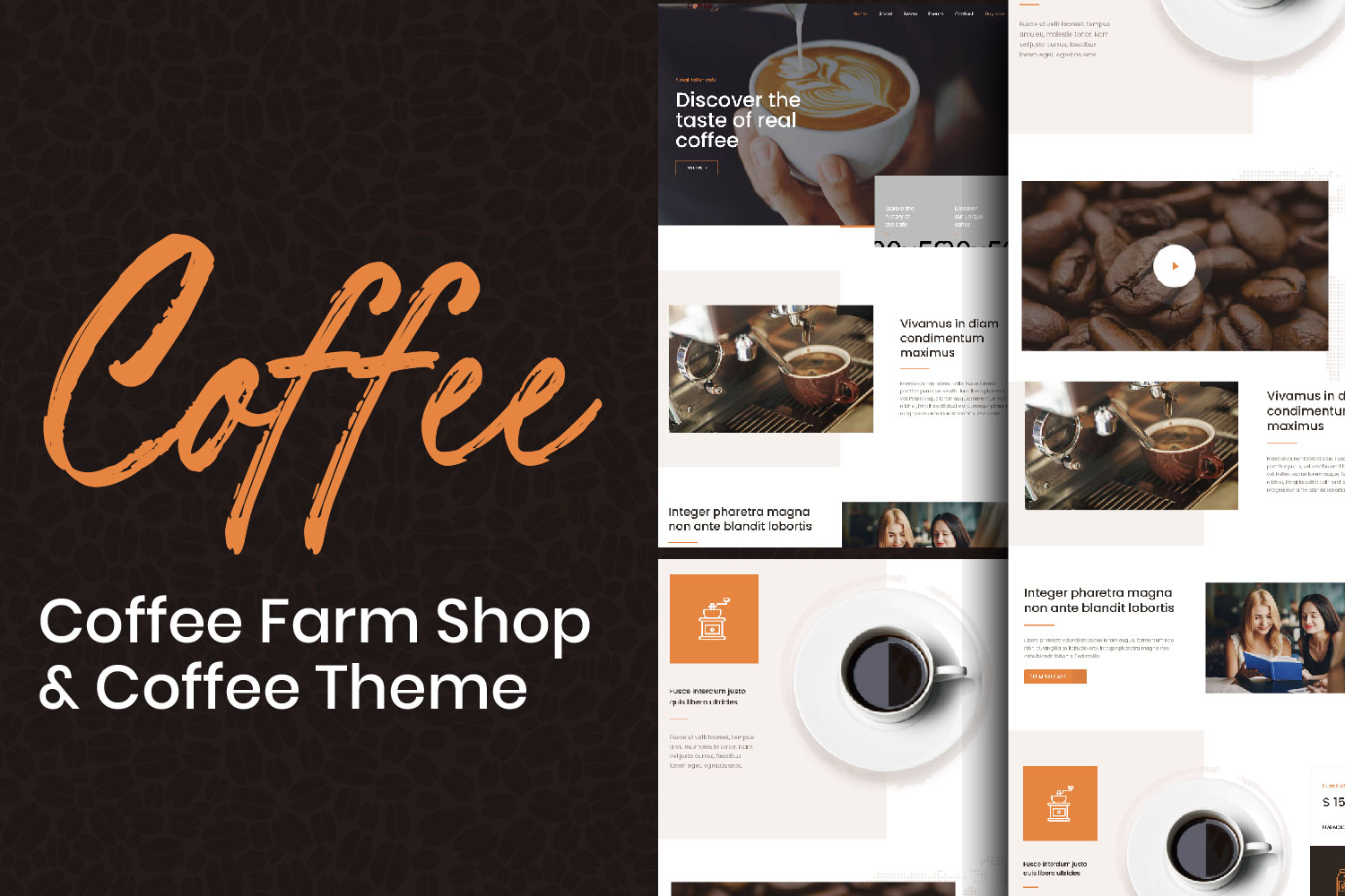 website1
