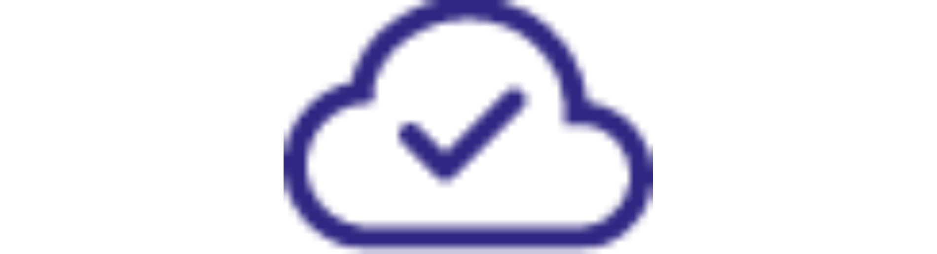 Custom Software Development
