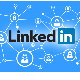 Social Media Management